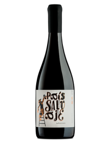 Vin rouge Chili Salvaje Pais 2020 - J. Bouchon Valle de Maule - En stock