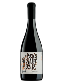 J. Bouchon Pais Salvaje Valle de Maule Chili Rouge