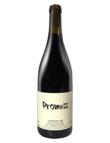 Vin rouge naturel 100% Gamay du Domaine Sauveterre - Promess 2019