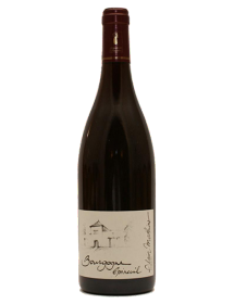 Vin rouge bio Bourgogne Epineuil Côte de Grisey 2020 en stock, livraison 24h