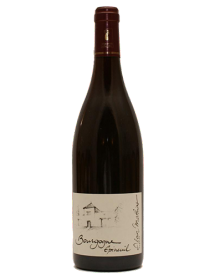 Vin rouge bio Bourgogne Epineuil Tradition 2020 en stock, livraison 24h