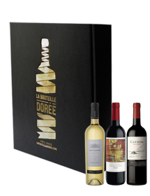 Coffret Vin Argentine Sélection 3 bouteilles