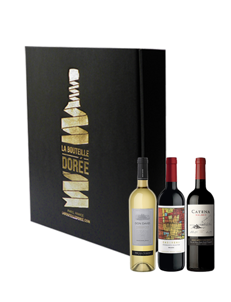 Coffret Vin Argentine Sélection 3 bouteilles