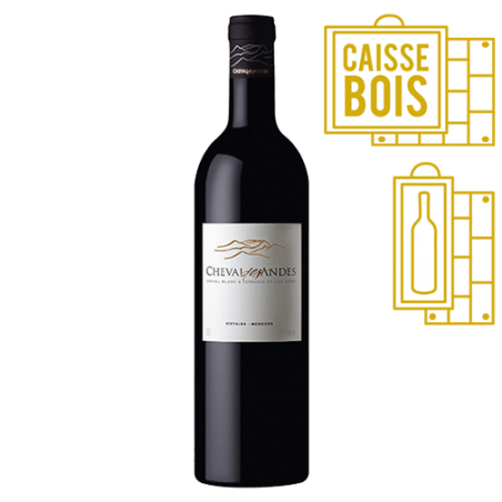 Cheval des Andes Vistalba Mendoza Argentine Rouge 2017 Magnum - Coffret Bois