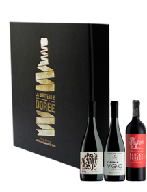 Coffret vin Chili Sélection 3 bouteilles