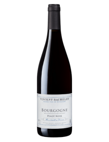 Domaine Vincent Bachelet Bourgogne Pinot Noir Rouge