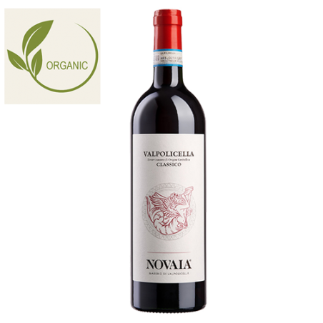 Novaia Valpolicella DOC Classico Vénétie Italie Rouge BIO