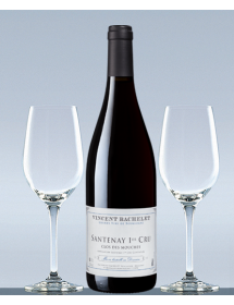 Coffret vin Bourgogne Rouge Santenay 1er Cru et 2 verres de dégustation
