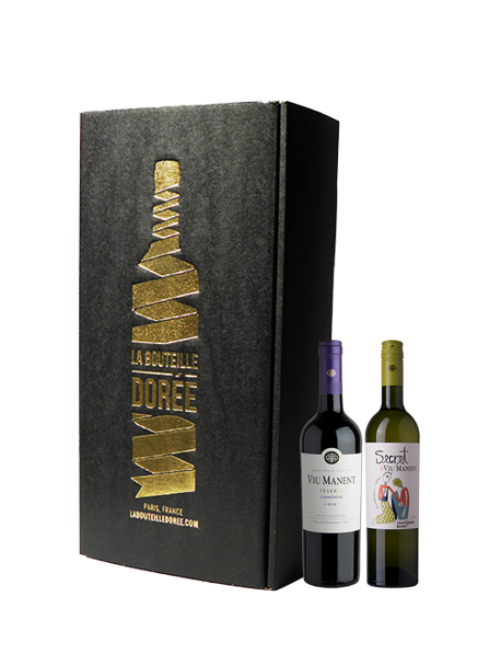 Coffret vin Chili 2 bouteilles - Vins chiliens rouges et blancs