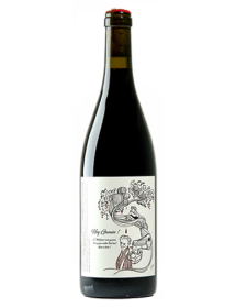 Vin rouge naturel 100% Gamay de François Saint Lô - Hey Gamin ! 2020
