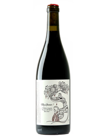 François Saint Lô Hey Gamin ! Gamay Vin de France Rouge 2020