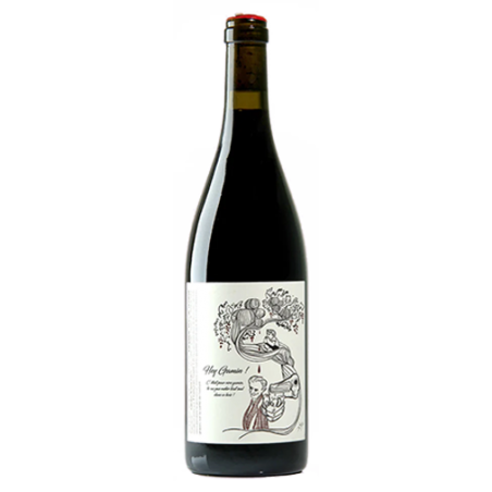 François Saint Lô Hey Gamin ! Gamay Vin de France Rouge 2020