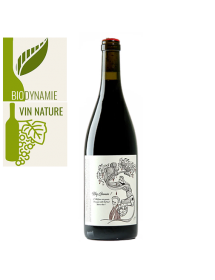 François Saint Lô Hey Gamin ! Gamay Vin de France Rouge 2020 - Vin nature