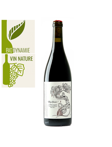 Vin rouge naturel 100% Gamay de François Saint Lô - Hey Gamin ! 2020