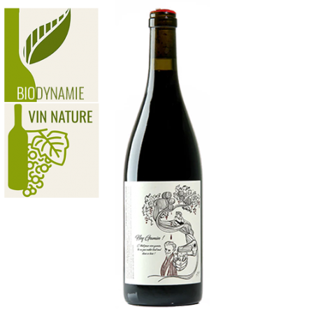 François Saint Lô Hey Gamin ! Gamay Vin de France Rouge 2020 - Vin nature