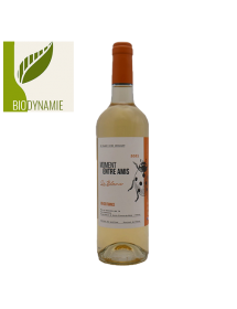 Château Cazebonne Moment Entre Amis Vin de France Blanc - Biodynamie