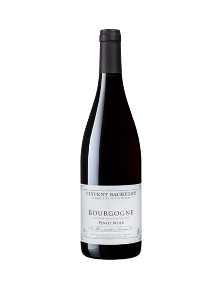 Domaine Vincent Bachelet Bourgogne Pinot Noir Rouge
