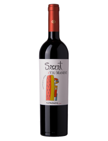 Viu Manent Secret Carmenère Valle de Colchagua Chili Rouge