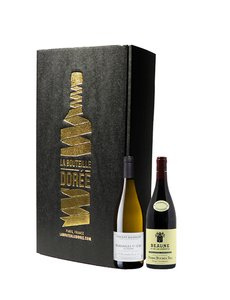 Coffret vin Bourgogne 1er Cru Blanc Rouge 2 bouteilles