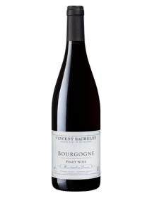 Vin rouge Bourgogne 2021 Pinot Noir Vincent Bachelet - Livraison express