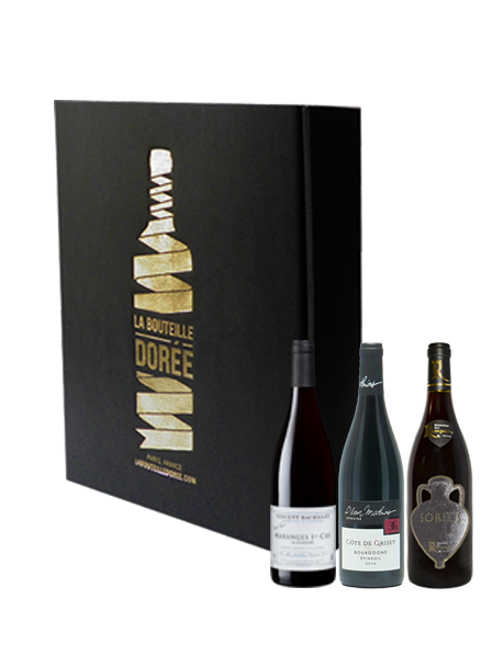 Coffret vin Bourgogne Rouge Découverte 3 bouteilles - Cépages Pinot Noir et César