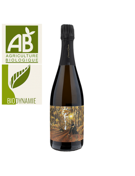 Champagne Romain Hénin L'Appel de la Forêt Extra-Brut 2015 - BIO et biodynamie