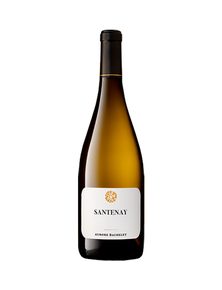 Domaine Aurore Bachelet Santenay Blanc 2021