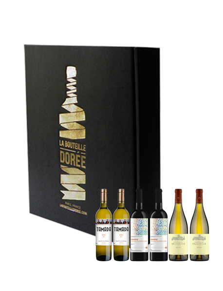 Coffret vin Géorgie découverte 6 bouteilles