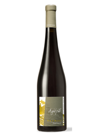 Alsace Pinot Noir Expression 2022 BIO Domaine Agapé - Livraison express