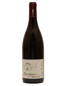 Domaine Alain Mathias Bourgogne Epineuil Tradition Rouge 2014