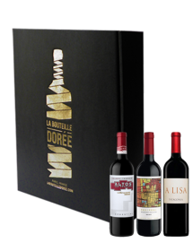 Coffret vin rouge Argentine Découverte 3 bouteilles