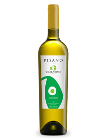 Pisano Cisplatino Progreso Torrontés Uruguay Blanc 2017