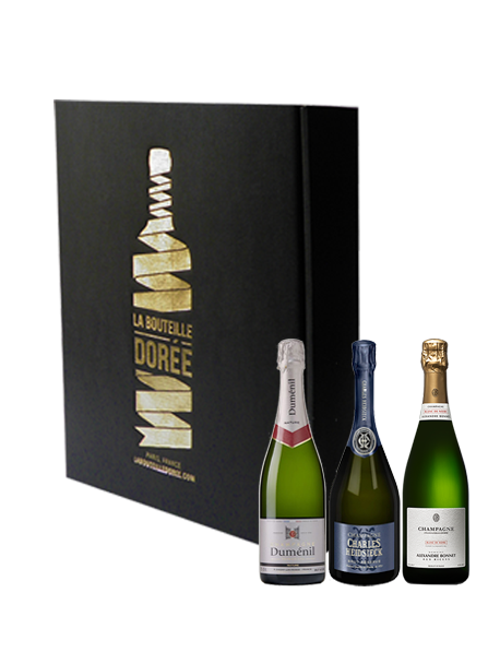 Coffret Champagne Nature Extra-Brut et Brut 3 bouteilles