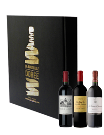 Coffret vin Bordeaux Médoc Seconds vins 3 bouteilles