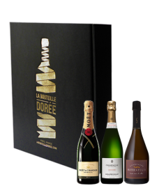 Coffret Champagne Blanc de noirs 3 bouteilles