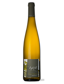 Alsace Riesling Expression 2020 BIO Domaine Agapé - Livraison express