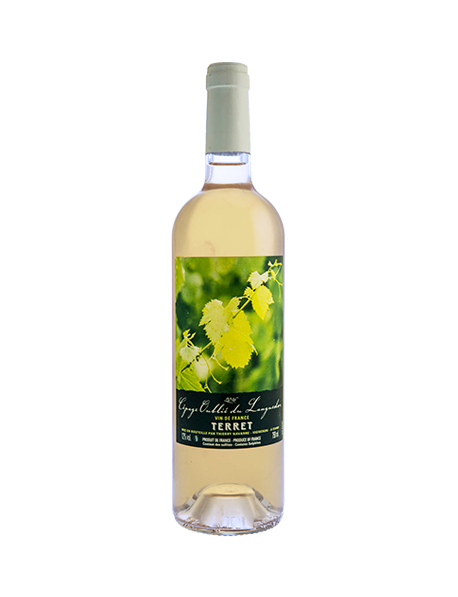 Thierry Navarre Terret Gris 2023