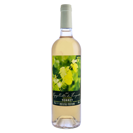 Thierry Navarre Terret Gris 2023