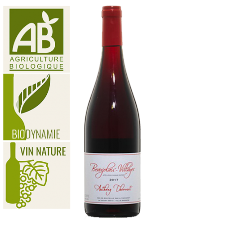 Domaine Anthony Thévenet Beaujolais-Villages Rouge - Vin Nature