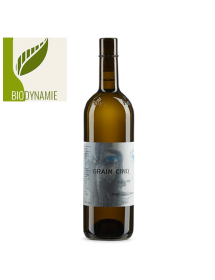 Marie-Thérèse Chappaz Grain Cinq Assemblage Valais Suisse Blanc - Biodynamie