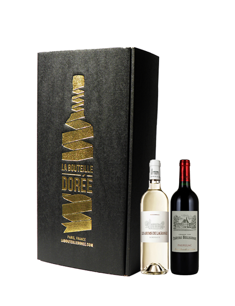 Coffret vin Bordeaux Rouge et Blanc Médoc 2 bouteilles