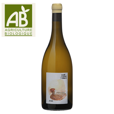 Domaine des Grandes Espérances Aurore Chenin Touraine Blanc BIO