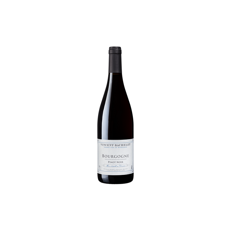 Domaine Vincent Bachelet Bourgogne Pinot Noir Rouge 2022