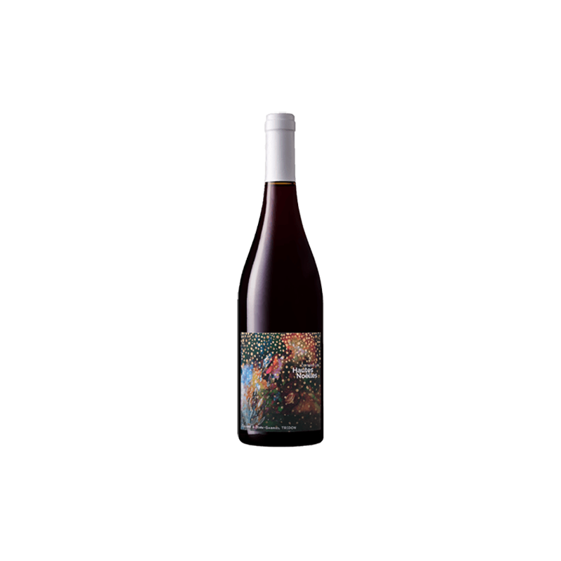 Galénée 2021 Domaine Les Hautes Noëlles - Cépage Grolleau Noir