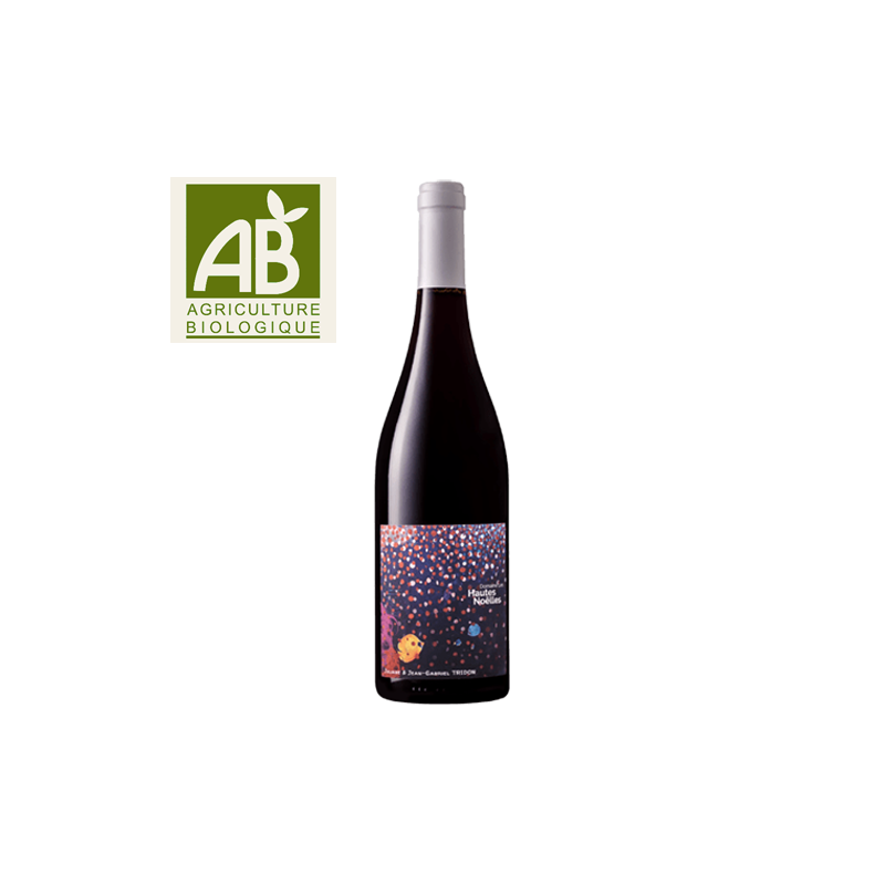 Domaine Les Hautes Noëlles Pléroma Egiodola IGP Val de Loire Rouge 2021 BIO