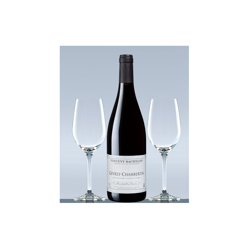 Gevrey-Chambertin 2022 du Domaine Vincent Bachelet