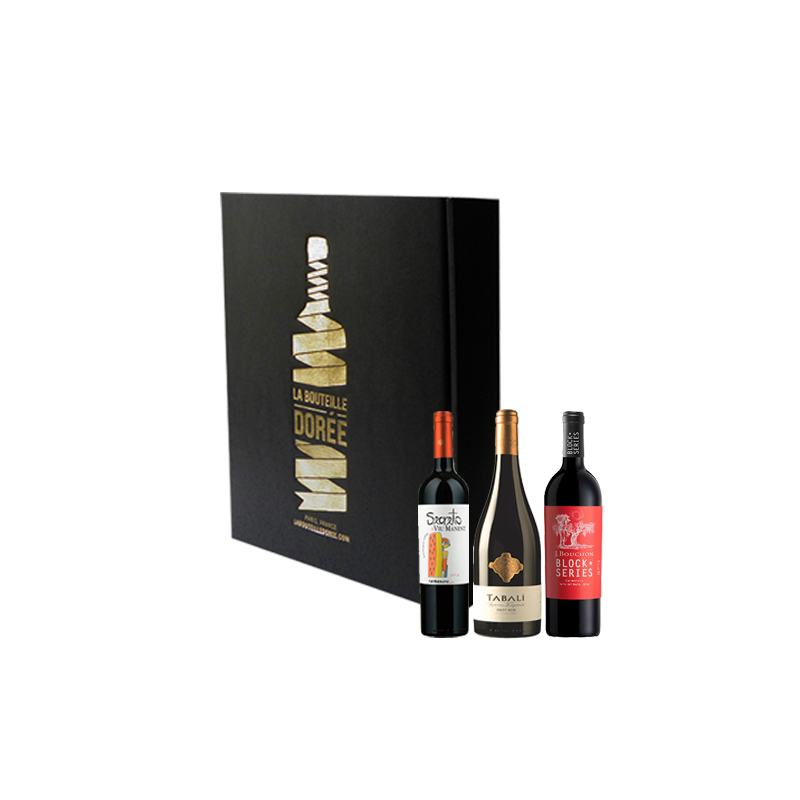 Coffret vin Chili Découverte 3 bouteilles