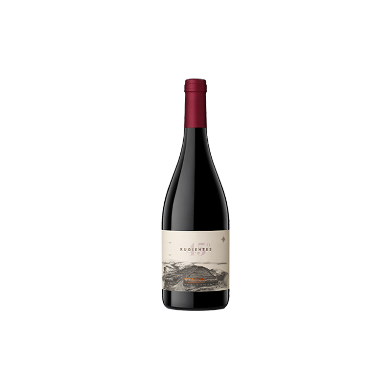Otronia Rugiente 45 Pinot Noir Chubut Patagonie Argentine Rouge 2019