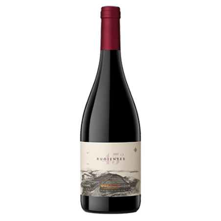 Otronia Rugiente 45 Pinot Noir Chubut Patagonie Argentine Rouge 2019