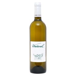 Domaine Plageoles Verdanel Vin de France Blanc 2021